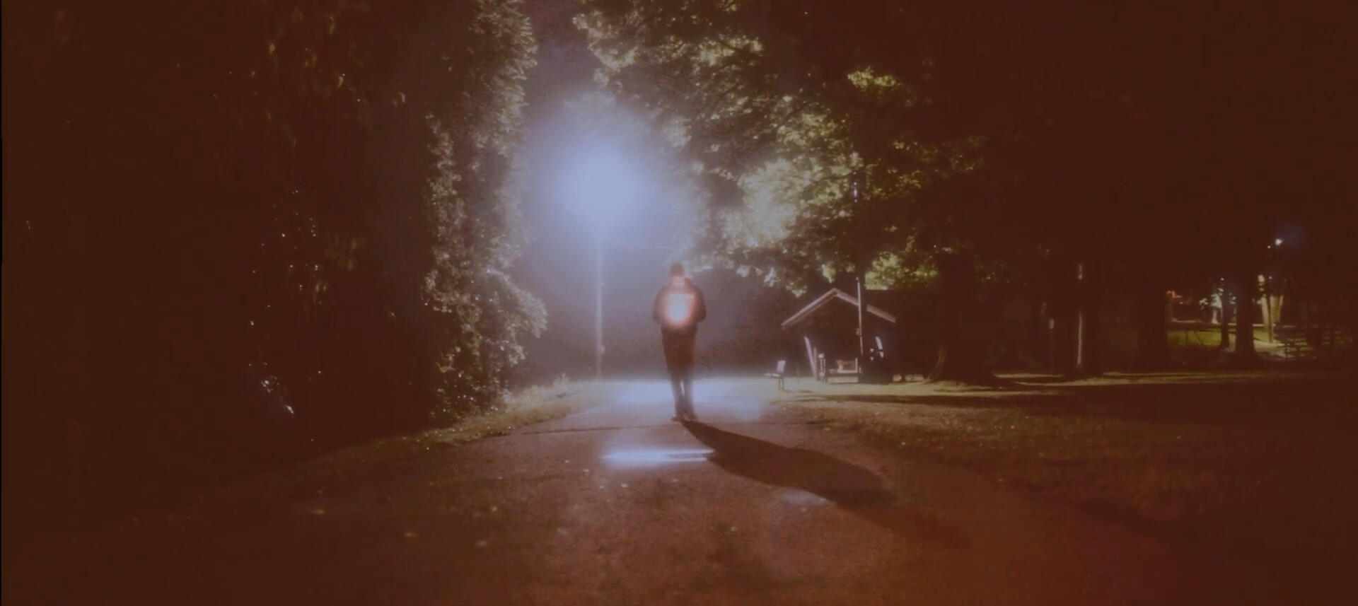 Cody Piper - Hibernating (Official Video)