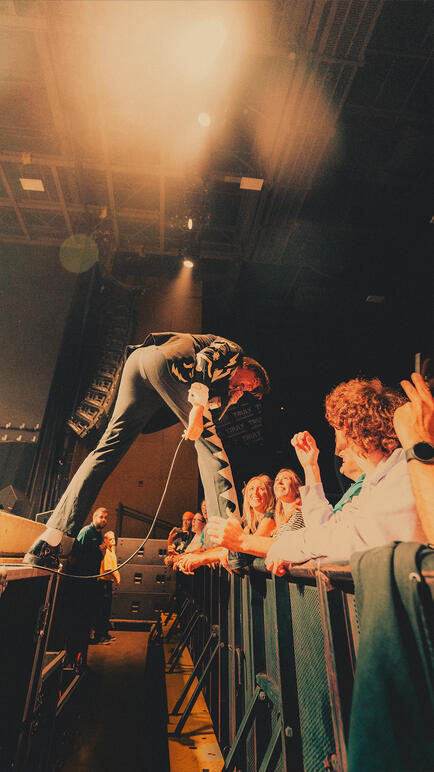 The Hives Vert